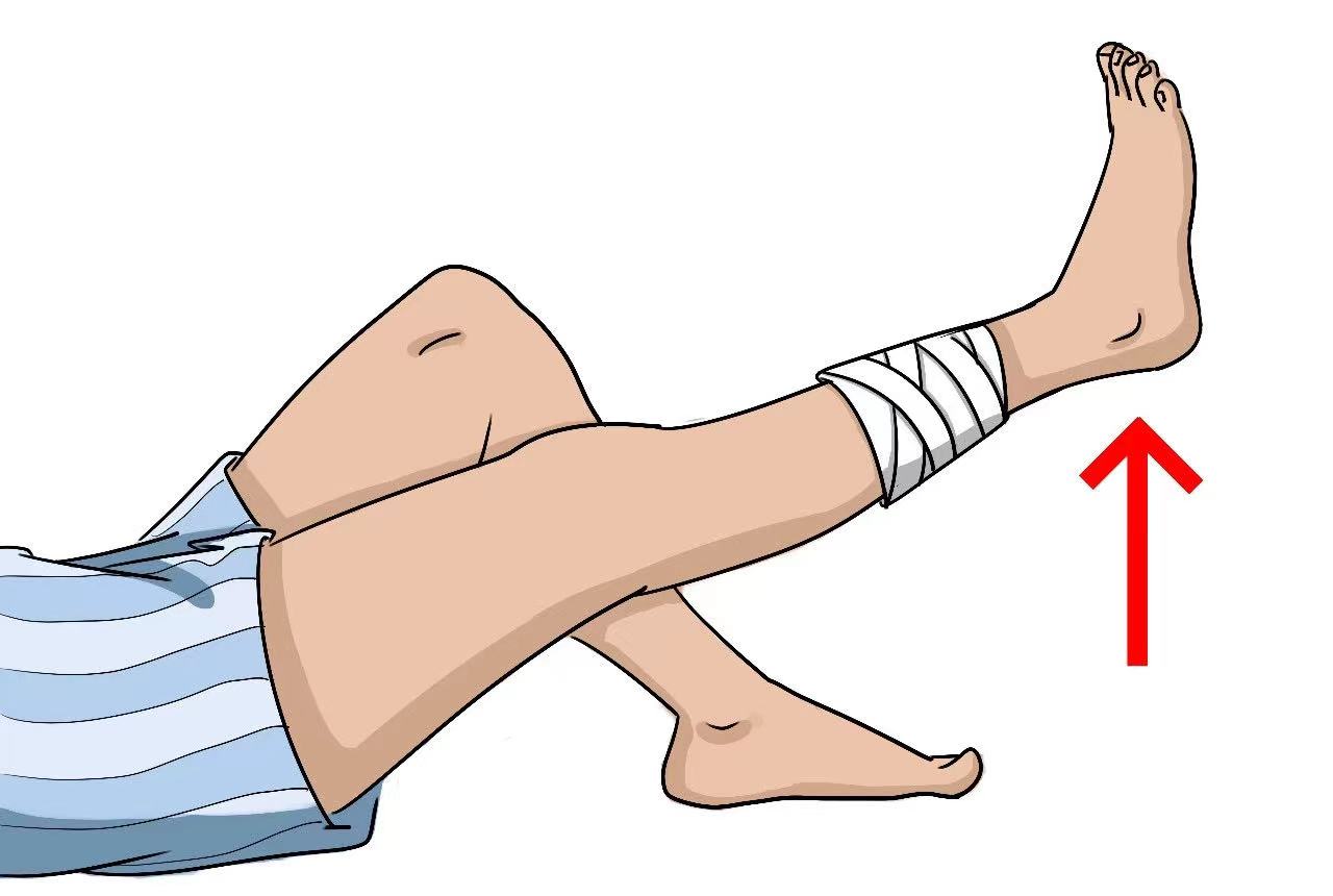 髖關節(jié)置換術后康復